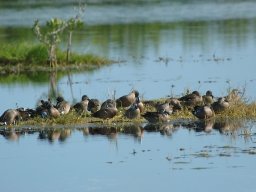 Florida_2007-2008-038